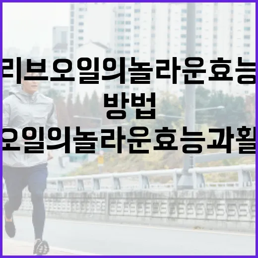 올리브오일의 놀라운 효능과 활용 방법 - 요약