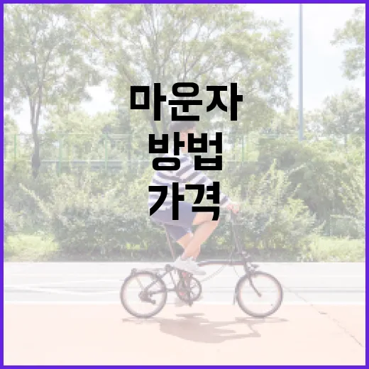 마운저의 가격을 이해하는 방법 - 요약