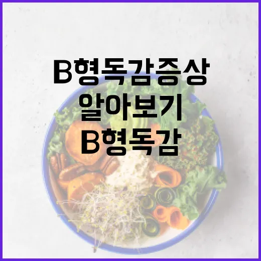 B형 독감 증상 알아보기: 초보자를 위한 가이드 - 요약