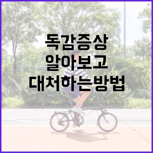 독감 증상을 알아보고 효과적으로 대처하는 방법 - 요약