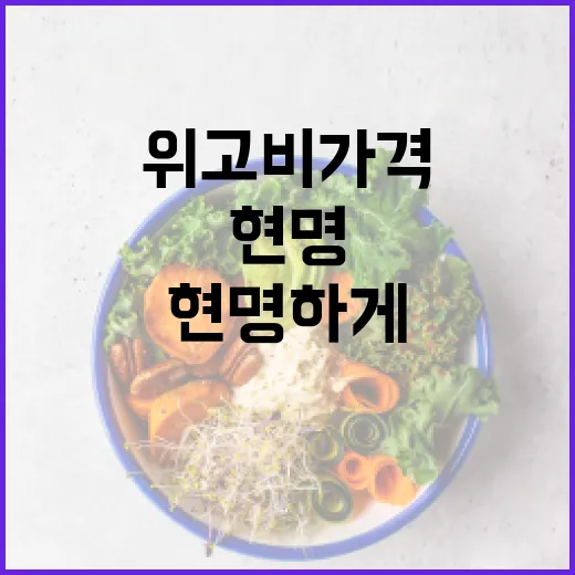 위고비 가격 알아보고 현명하게 구매하는 방법 - 요약