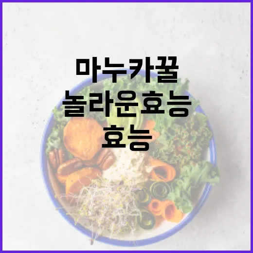 마누카꿀의 놀라운 효능을 알아보는 방법 - 요약