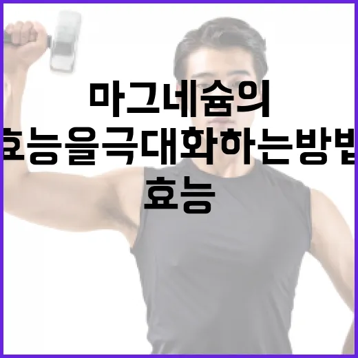 마그네슘의 놀라운 효능을 극대화하는 방법 - 요약