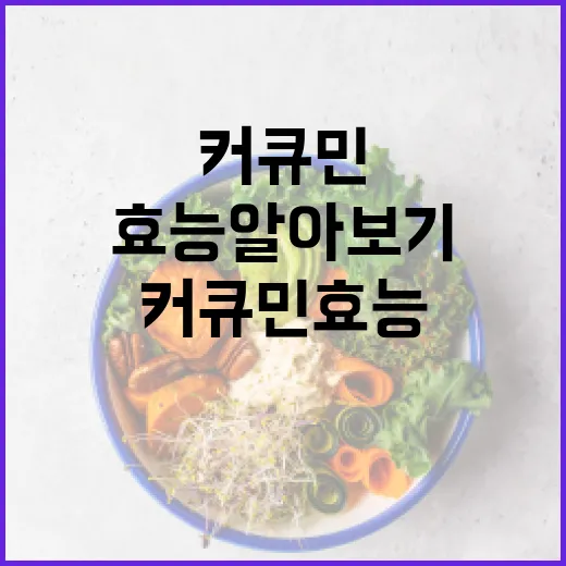 커큐민 효능 알아보기: 건강을 위한 최고의 선택 - 요약