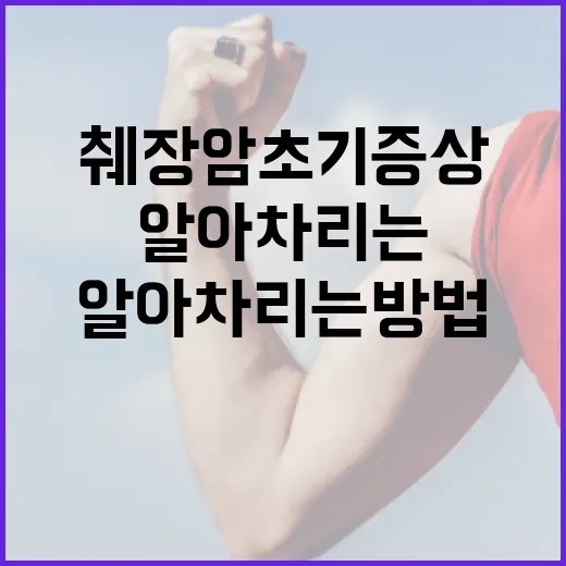 췌장암 초기증상을 알아차리는 방법 - 요약