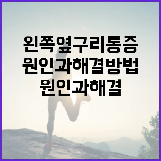 왼쪽 옆구리 통증의 원인과 해결 방법 - 요약