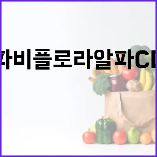 파비플로라 알파CD 사용법과 활용 팁 - 요약