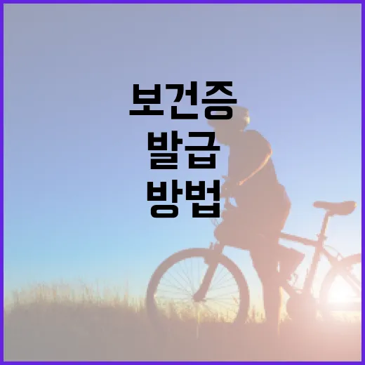 보건증 발급받는 방법과 준비사항 - 요약