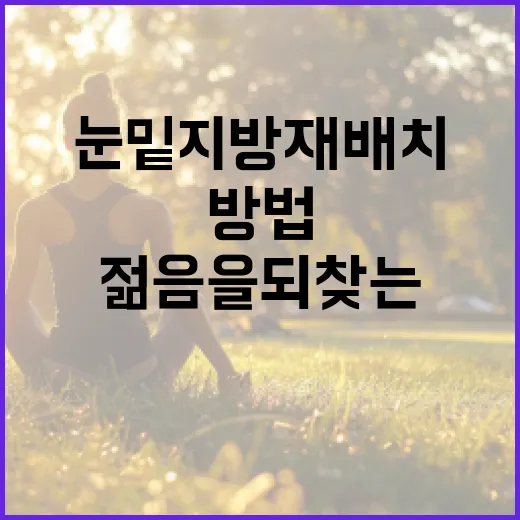 눈밑지방재배치로 젊음을 되찾는 방법 - 요약