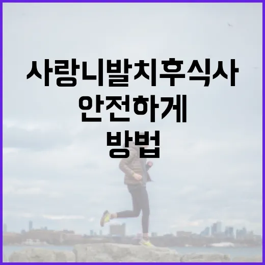 사랑니 발치 후 식사: 안전하게 먹는 방법 - 요약