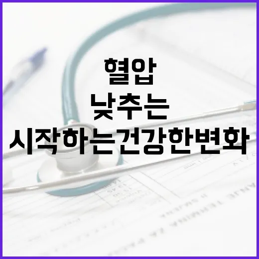혈압을 낮추는 방법: 일상에서 시작하는 건강한 변화 - 요약