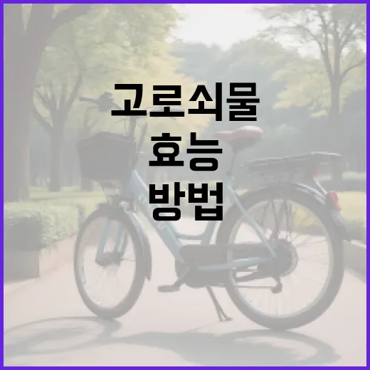 고로쇠물의 효능을 극대화하는 방법 - 요약