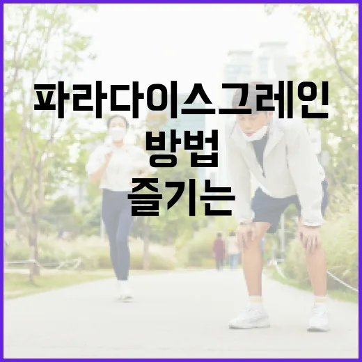파라다이스 그레인을 즐기는 방법 - 요약