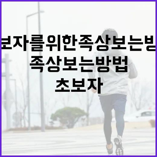 초보자를 위한 족상 보는 방법 - 요약