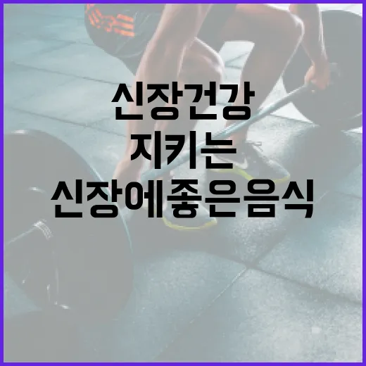 신장 건강을 지키는 방법: 신장에 좋은 음식 알아보기 - 요약