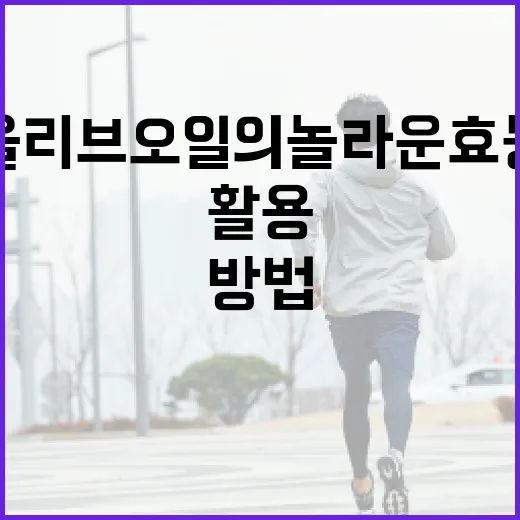 올리브오일의 놀라운 효능을 최대한 활용하는 방법 - 요약