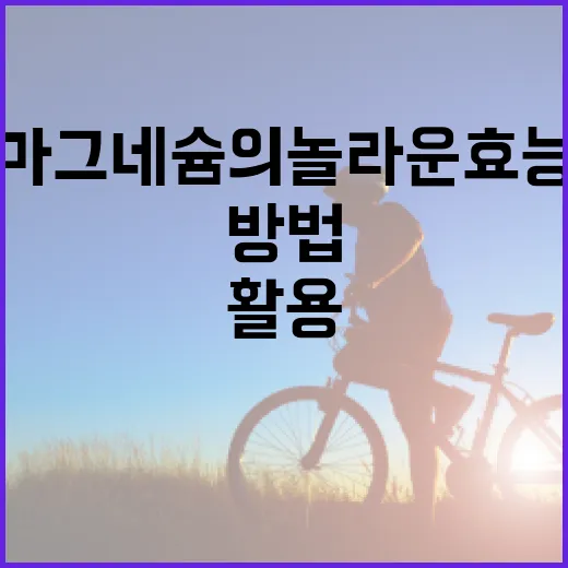 마그네슘의 놀라운 효능을 최대한 활용하는 방법 - 요약