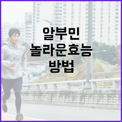 알부민의 놀라운 효능을 알아보는 방법 - 요약