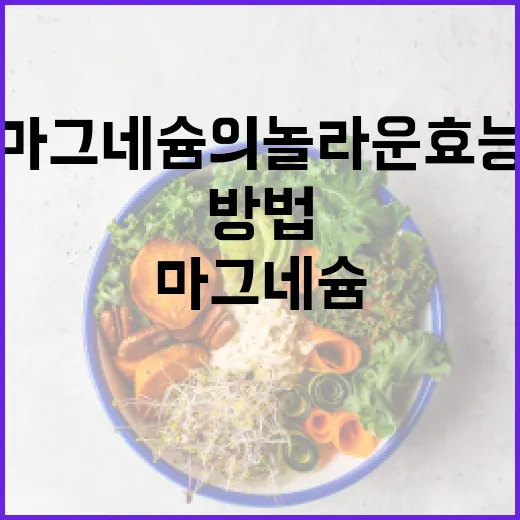 마그네슘의 놀라운 효능을 아는 방법 - 요약