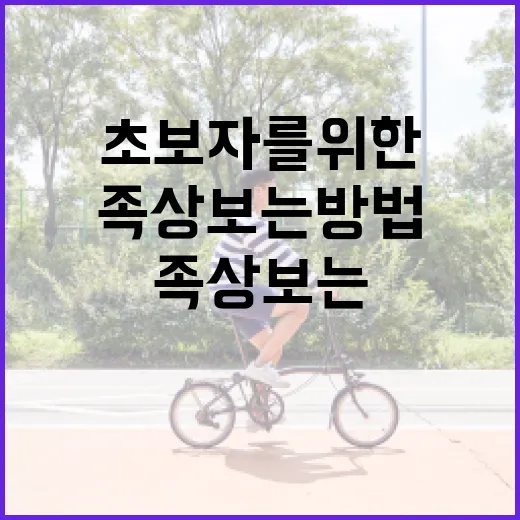 족상 보는 방법: 초보자를 위한 완벽 가이드 - 요약