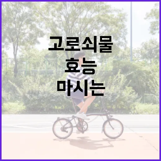 고로쇠물의 효능과 건강하게 마시는 방법 - 요약