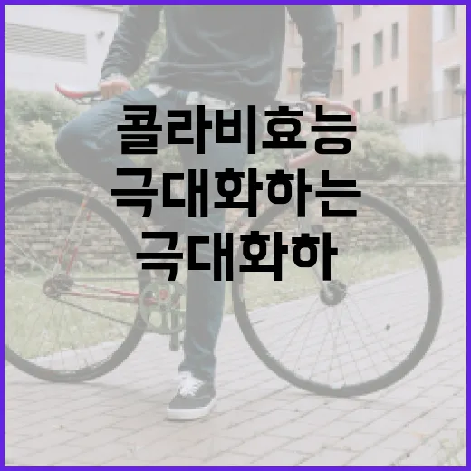콜라비 효능을 극대화하는 방법 - 요약