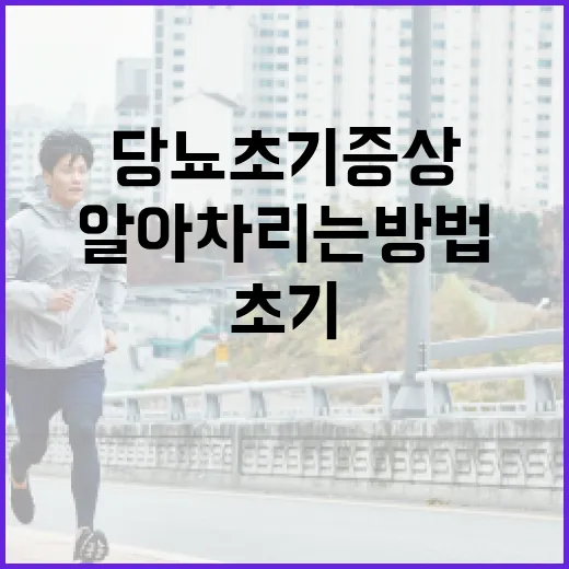 당뇨 초기증상을 알아차리는 방법 - 요약
