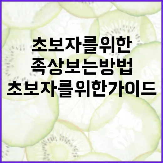 족상 보는 방법: 초보자를 위한 가이드 - 요약