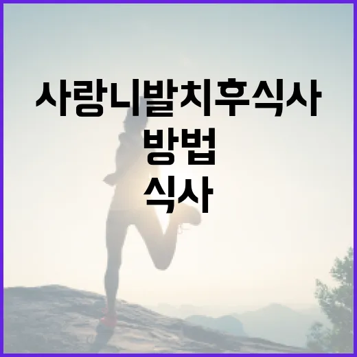 사랑니 발치 후 식사하는 방법 - 요약