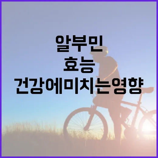 알부민의 효능과 건강에 미치는 영향 알아보기 - 요약