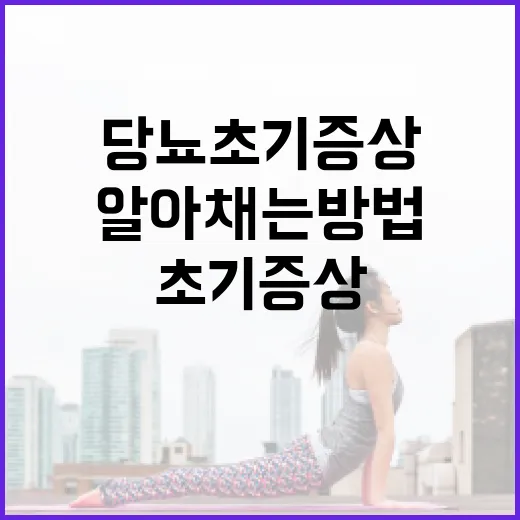 당뇨 초기증상을 알아채는 방법 - 요약