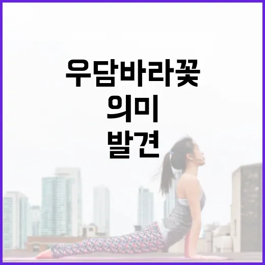 우담바라꽃을 발견하는 방법과 그 의미 - 요약