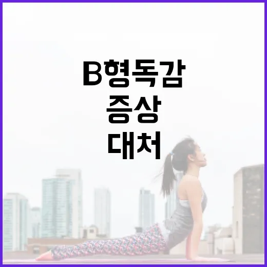 B형 독감 증상을 파악하고 대처하는 방법 - 요약