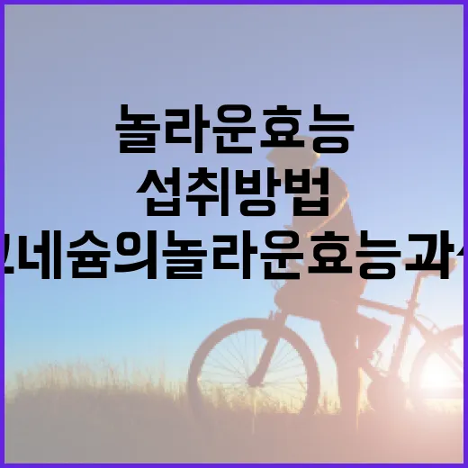 마그네슘의 놀라운 효능과 섭취 방법 - 요약