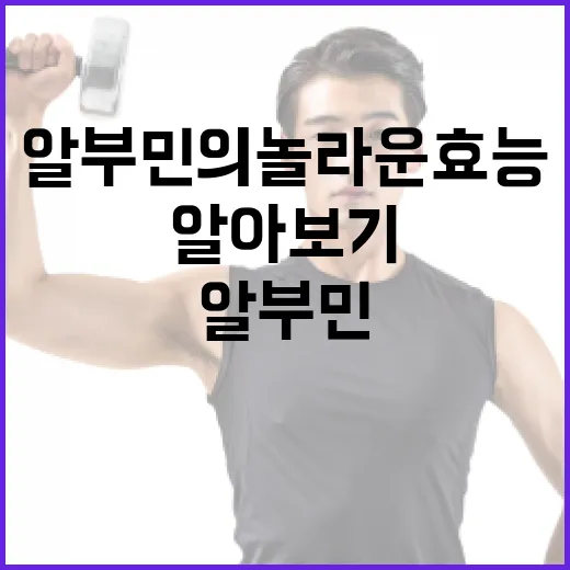 알부민의 놀라운 효능 알아보기 - 요약