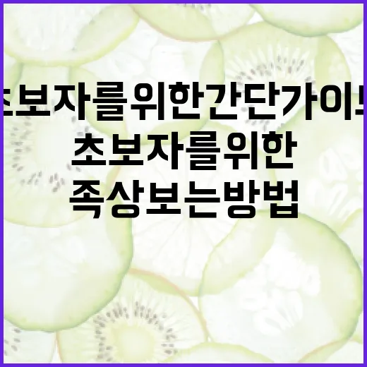 족상 보는 방법: 초보자를 위한 간단 가이드 - 요약