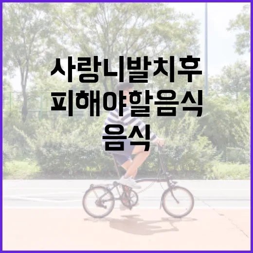 사랑니 발치 후 먹기 좋은 음식과 피해야 할 음식 - 요약