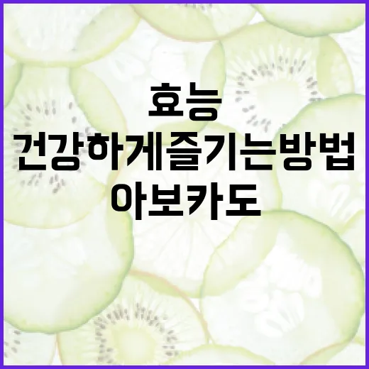 아보카도의 효능과 건강하게 즐기는 방법 - 요약