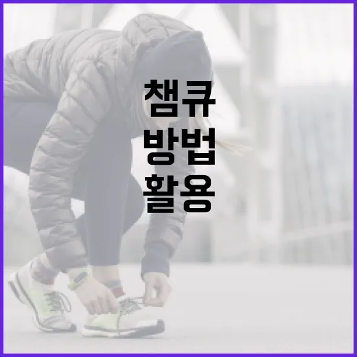 챔큐를 활용하여 건강하게 생활하는 방법 - 요약