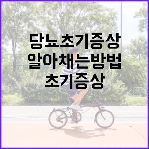 당뇨 초기증상을 알아채는 방법 - 요약