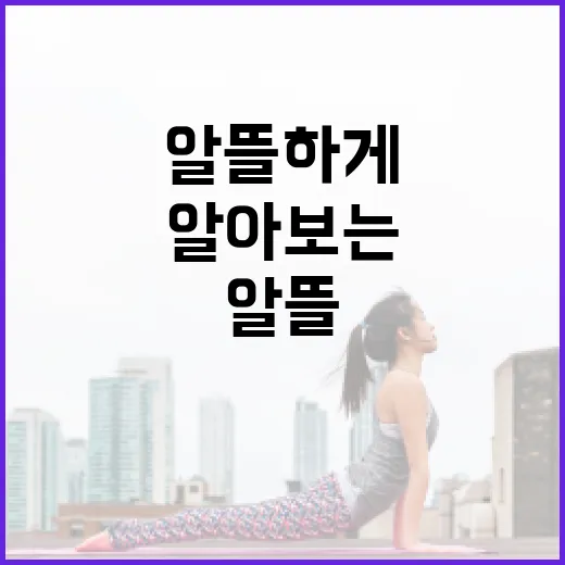 마운저로 가격을 알뜰하게 알아보는 방법 - 요약