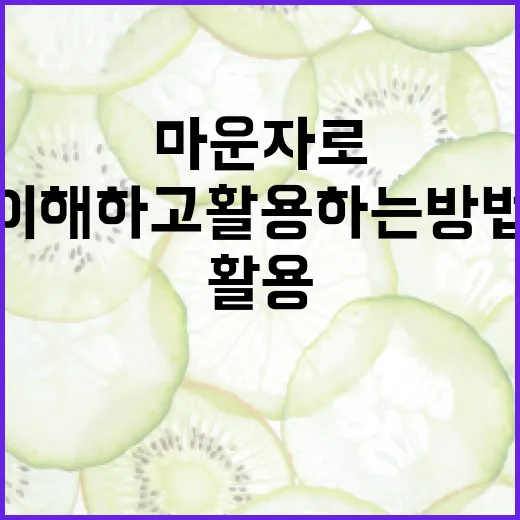마운자로를 이해하고 활용하는 방법 - 요약