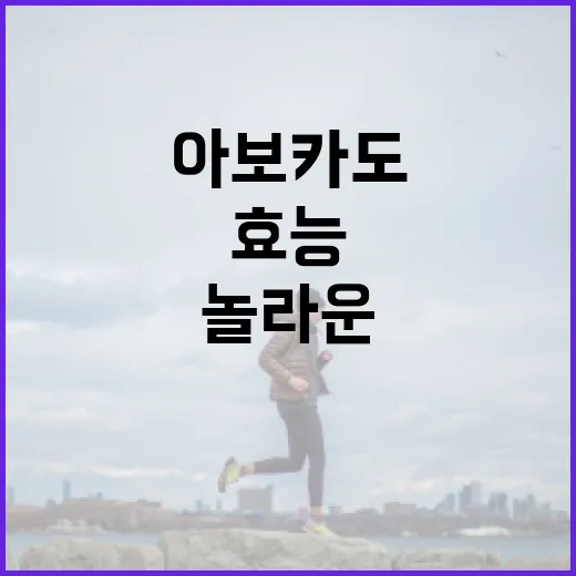 아보카도의 놀라운 효능을 최대한 활용하는 방법 - 요약