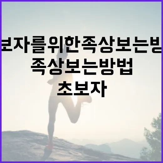 초보자를 위한 족상 보는 방법 - 요약