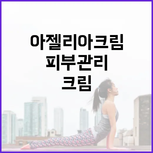 아젤리아크림을 활용한 피부 관리 방법 - 요약
