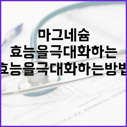 마그네슘 효능을 극대화하는 방법 - 요약