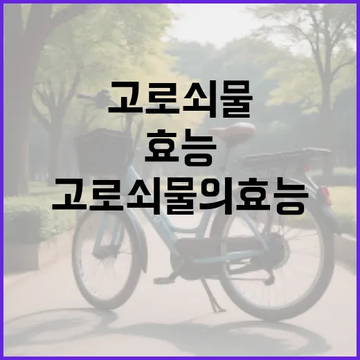 고로쇠물의 효능을 최대한 활용하는 방법 - 요약