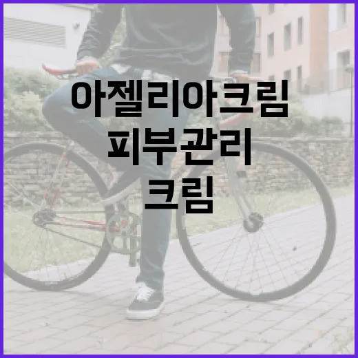 아젤리아크림을 활용한 피부 관리 방법 - 요약