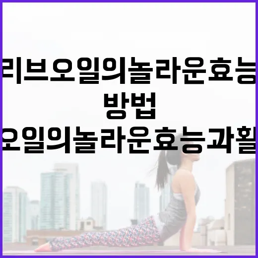 올리브오일의 놀라운 효능과 활용 방법 - 요약