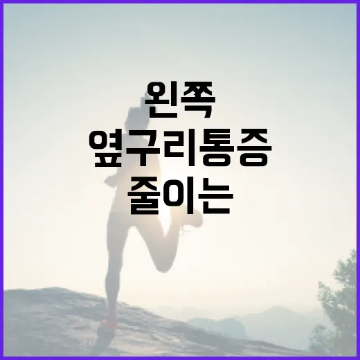 왼쪽 옆구리 통증을 줄이는 방법 - 요약